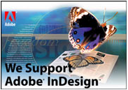 adobe_logo